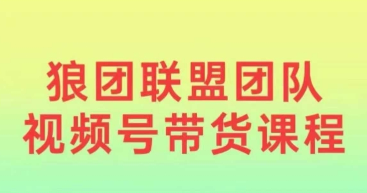 狼团联盟2024视频号带货，0基础小白快速入局视频号-财创网