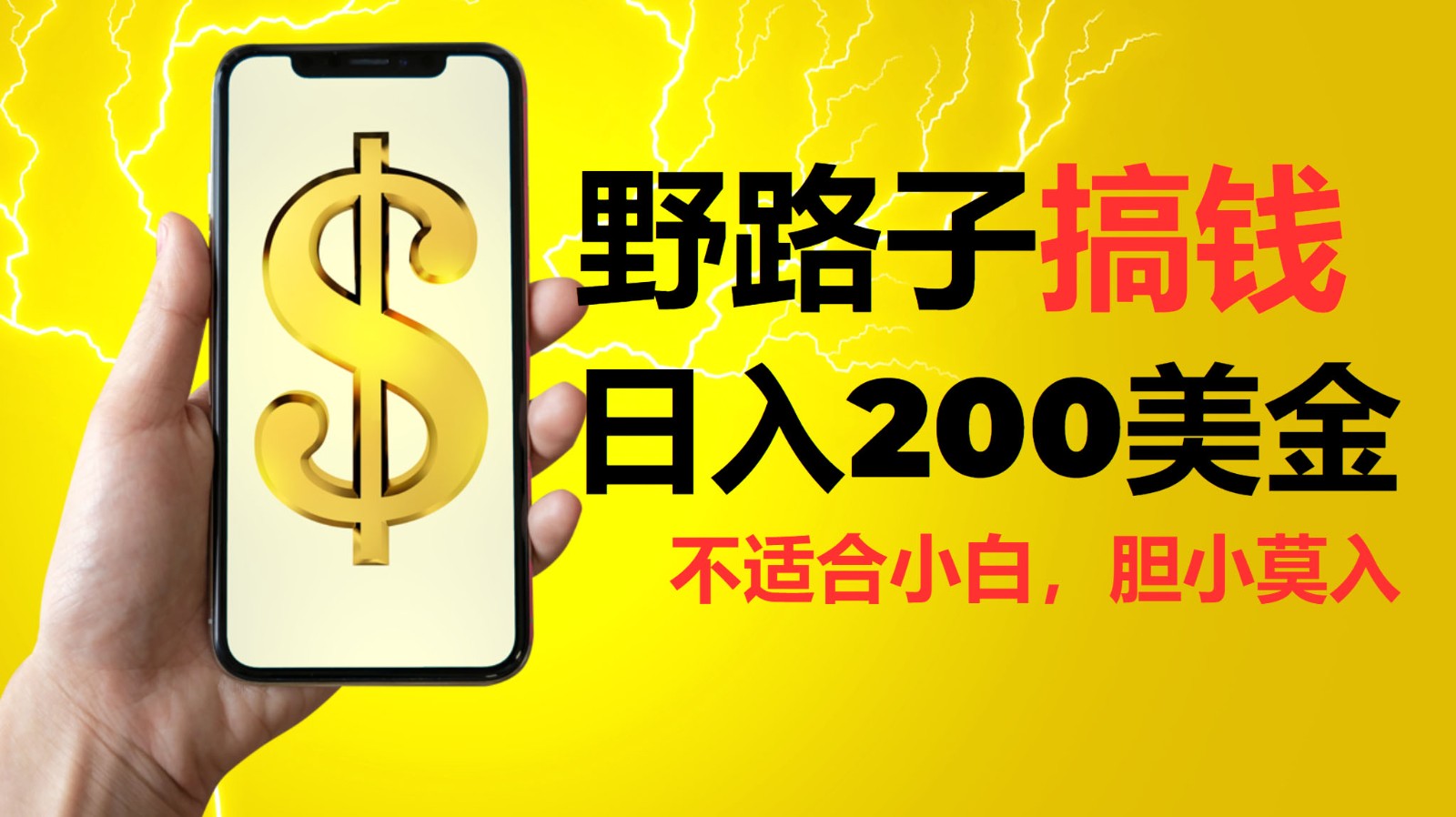 挂机野路子搞钱,日入200美金,路子很野,小白莫入-财创网 挂机野路子搞钱,日入200美金,路子很野,小白莫入-财创网