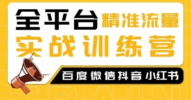 全平台精准流量实战训练营，百度微信抖音小红书SEO引流教程-财创网
